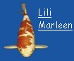 "Lili Marleen"